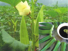 ���ʻ����