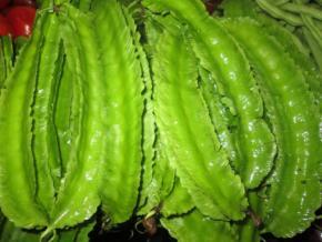 �����Ķ���