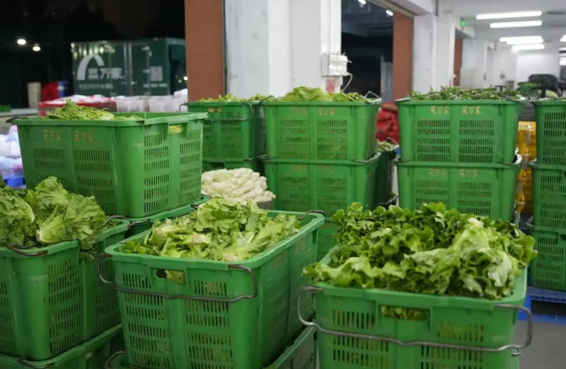 �߲�����