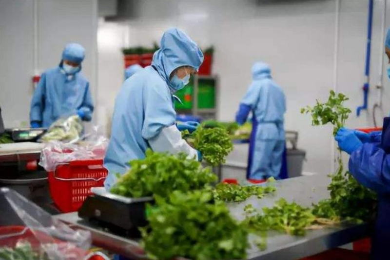 �߲�����